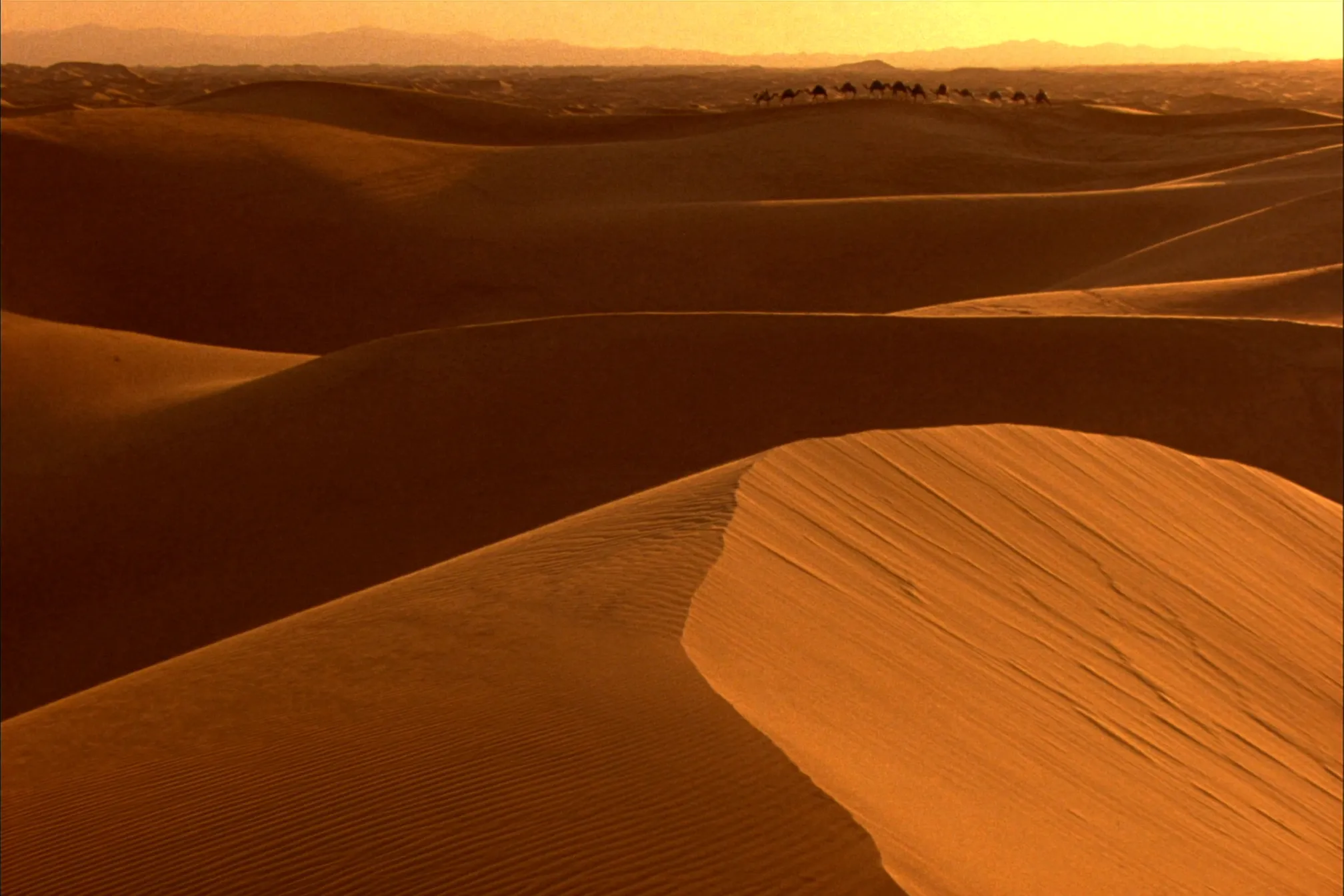 A camel caravan crossing the Sahara dunes at sunset